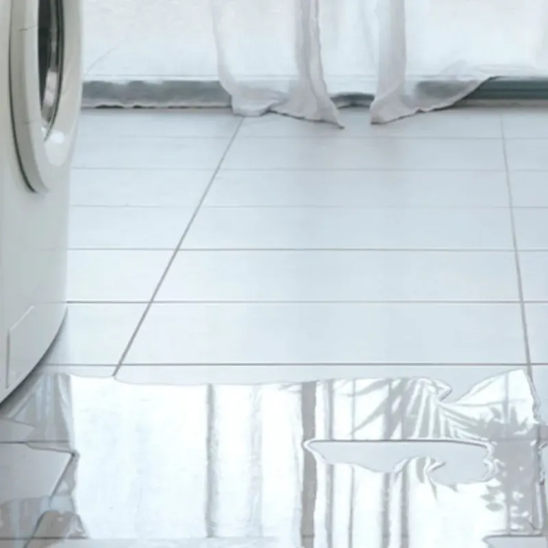 Appliance Leak Cleanup in Tuscola County, MI