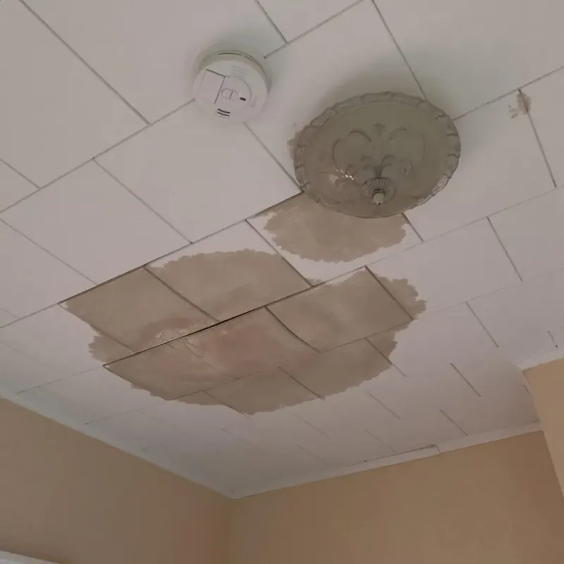 Ceiling Water Damage Repair in Tuscola County, MI