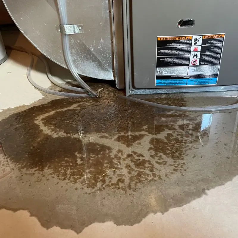 Pipe Burst and Leak Restoration in Tuscola County, MI