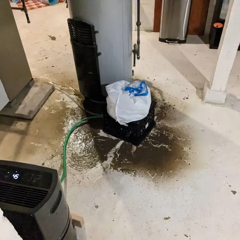 Sewage Backup Cleanup Service in Tuscola County, MI